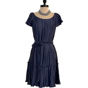 DKNY Slate Pleated Dress With Flutter Sleeves - Size 10 - NWT